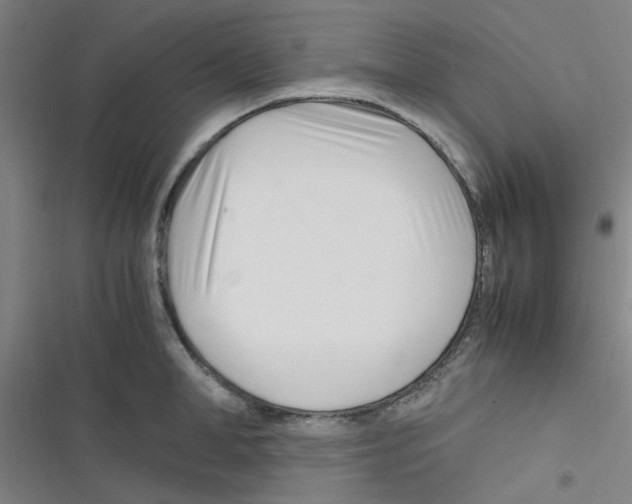 X0000116350998201001131102