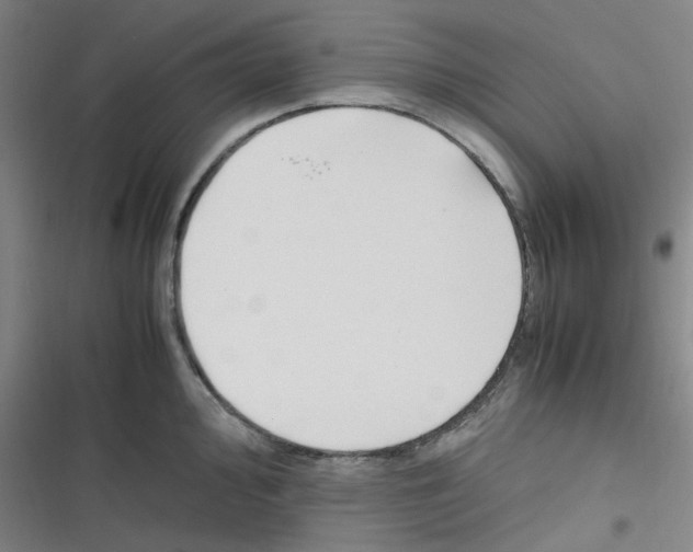 X0000116351000201001131102