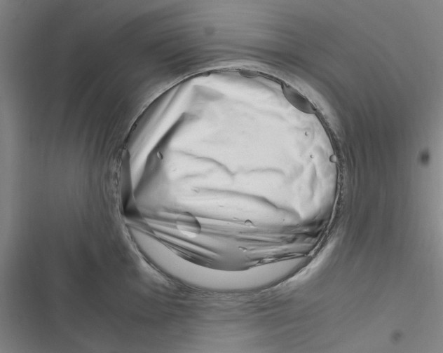 X0000116351001201001131102