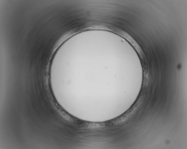 X0000116351002201001131102