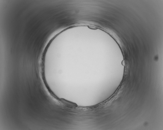 X0000116351003201001131102