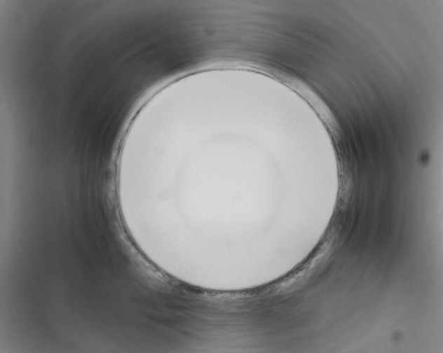 X0000116351004201001131102