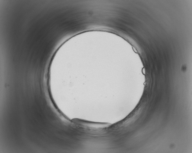 X0000116351007201001131102