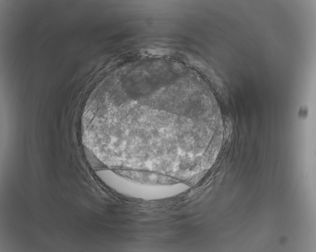 X0000116351009201001131101