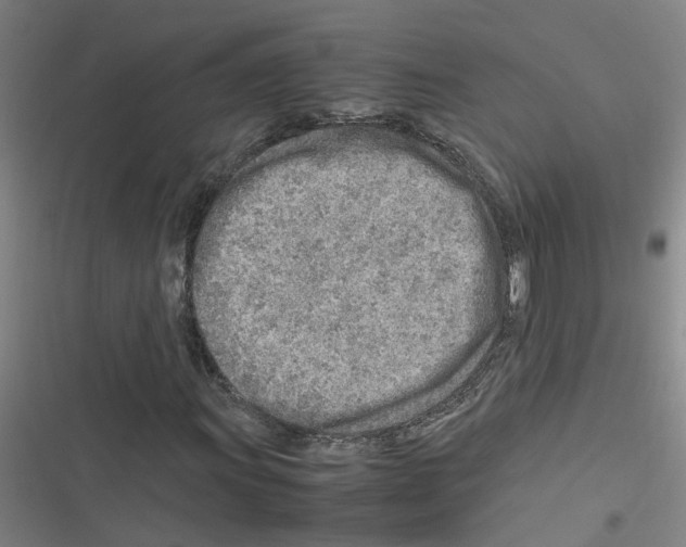 X0000116351011201001131101