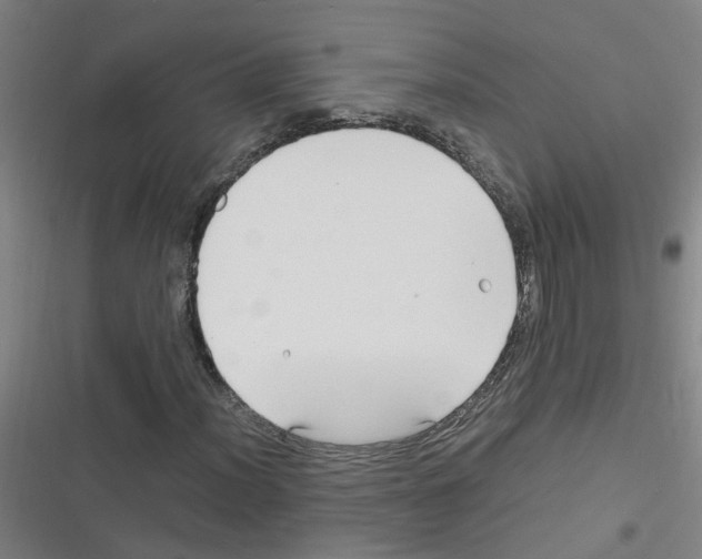 X0000116351012201001131101