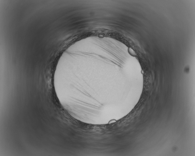 X0000116351013201001131101