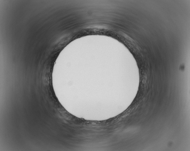 X0000116351014201001131101