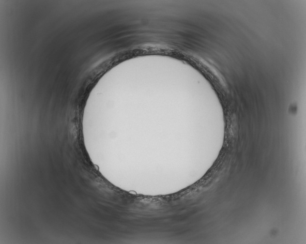 X0000116351015201001131102