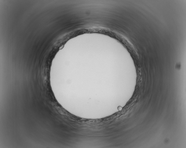 X0000116351016201001131102