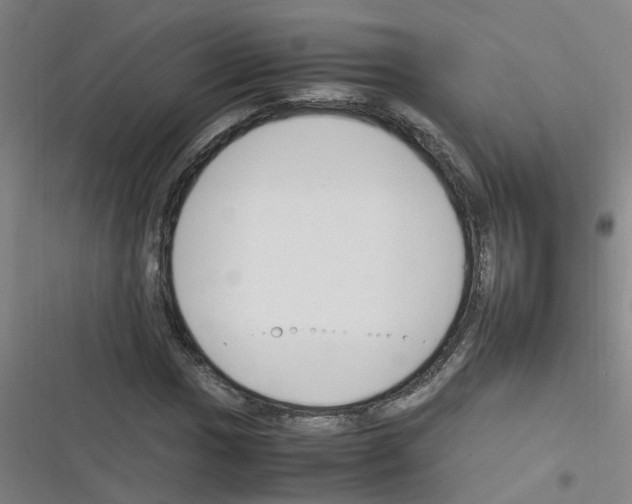 X0000116351017201001131102