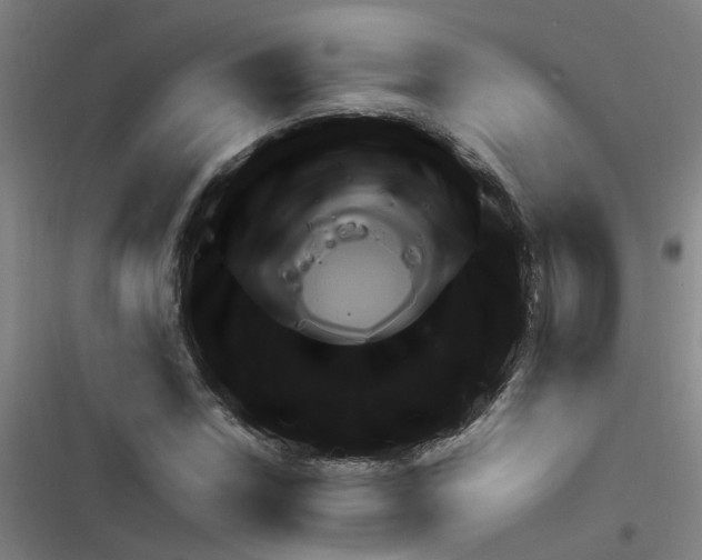 X0000116351018201001131102