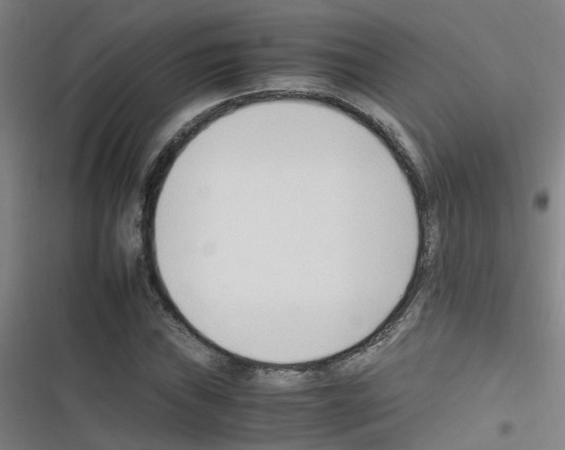 X0000116351019201001131102