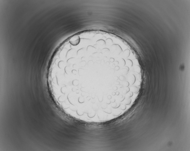 X0000116351020201001131102