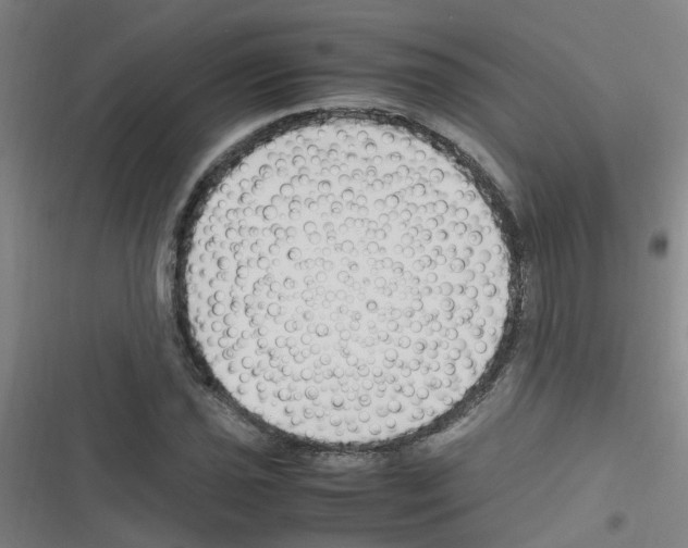 X0000116351021201001131102