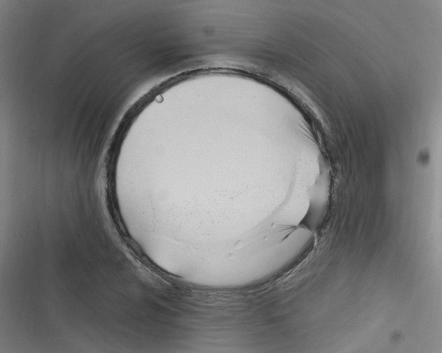 X0000116351024201001131102