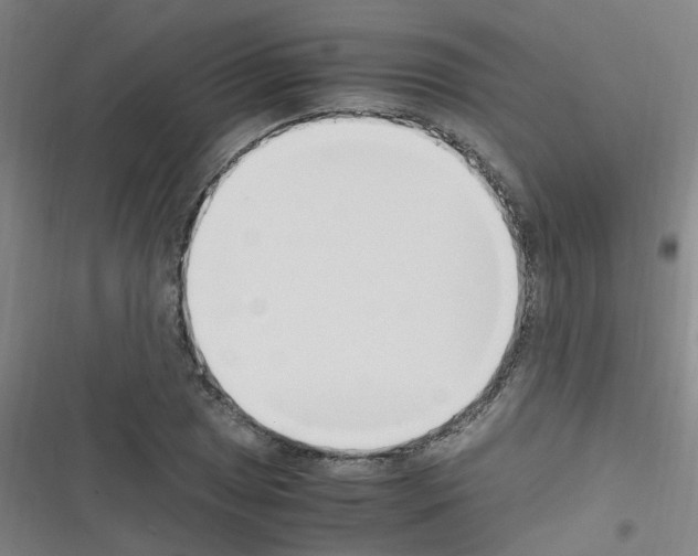 X0000116351025201001131102