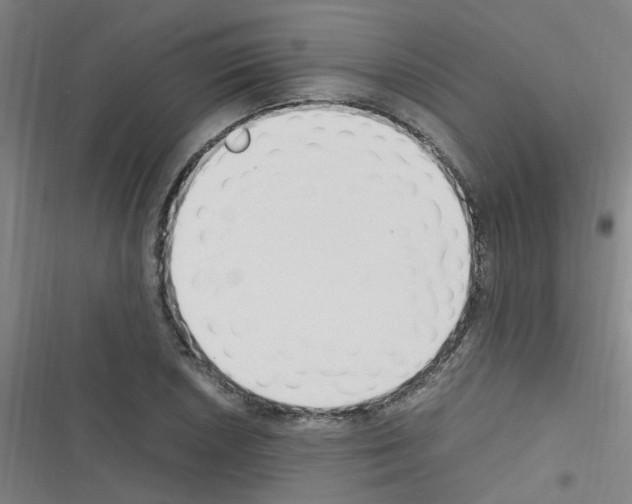 X0000116351026201001131102