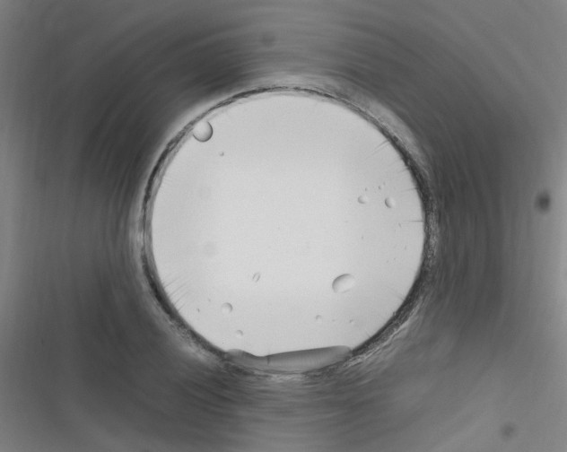 X0000116351028201001131102