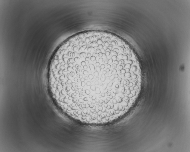X0000116351030201001131102