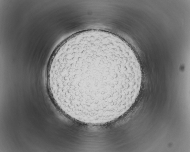 X0000116351032201001131102