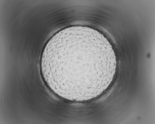 X0000116351033201001131102