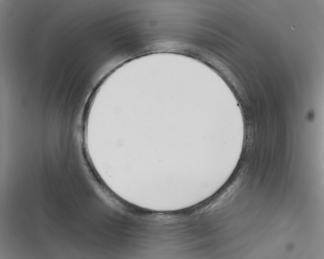 X0000116351034201001131102