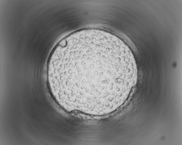 X0000116351036201001131102