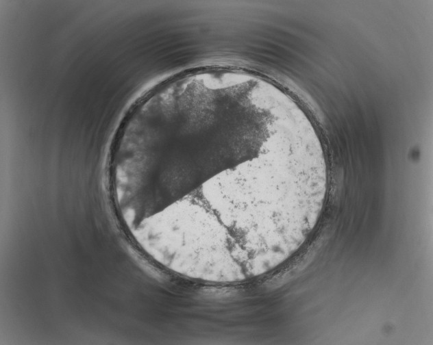 X0000116351037201001131102