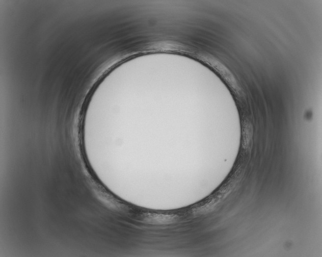 X0000116351039201001131102