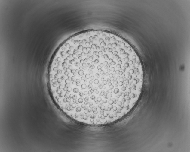 X0000116351040201001131102