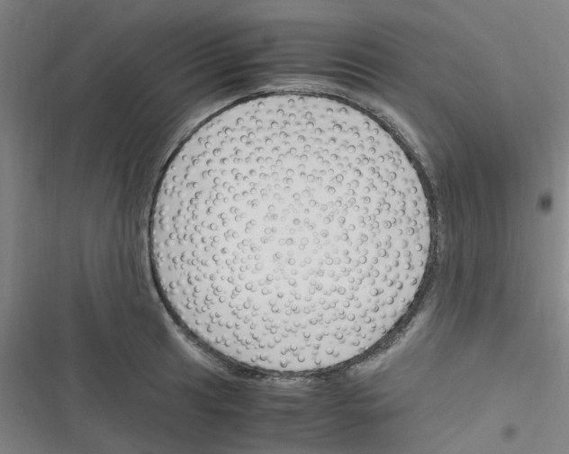 X0000116351041201001131102