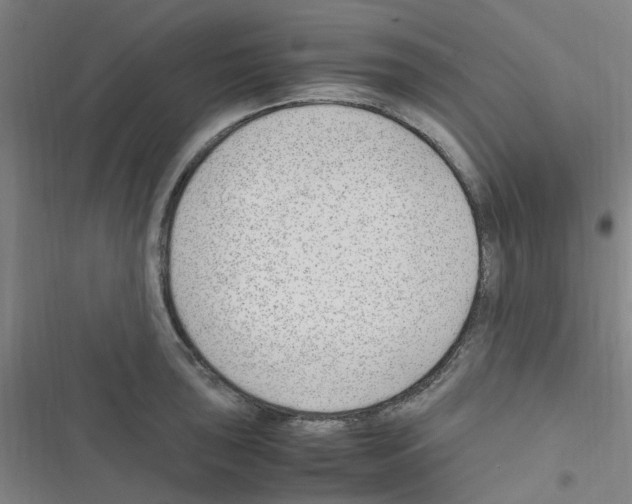 X0000116351043201001131102