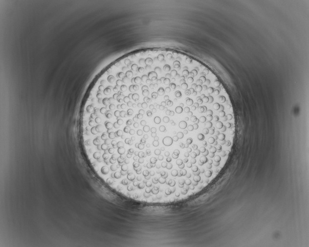 X0000116351044201001131102