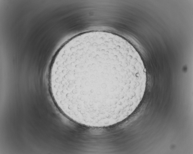 X0000116351046201001131102