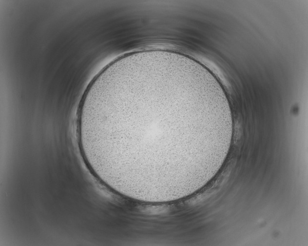 X0000116351047201001131102
