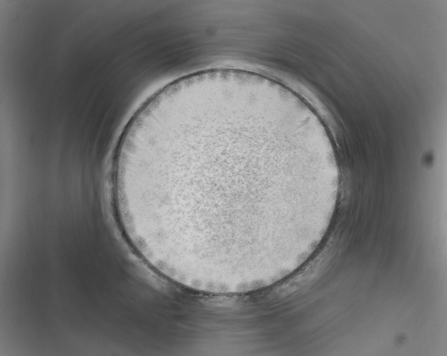 X0000116351048201001131102