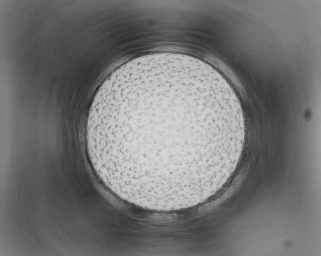 X0000116351049201001131102