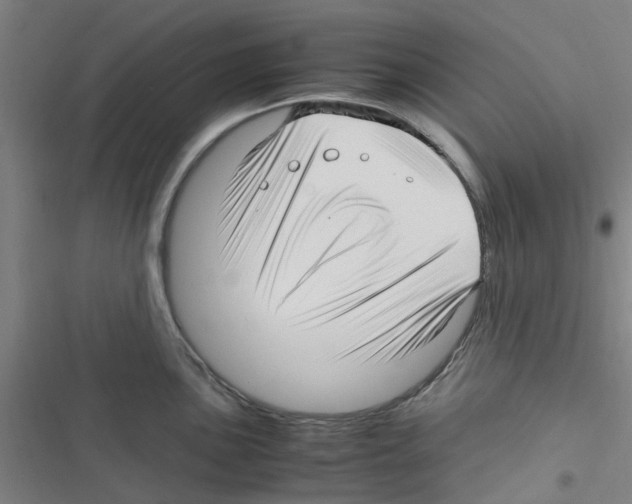 X0000116351051201001131102