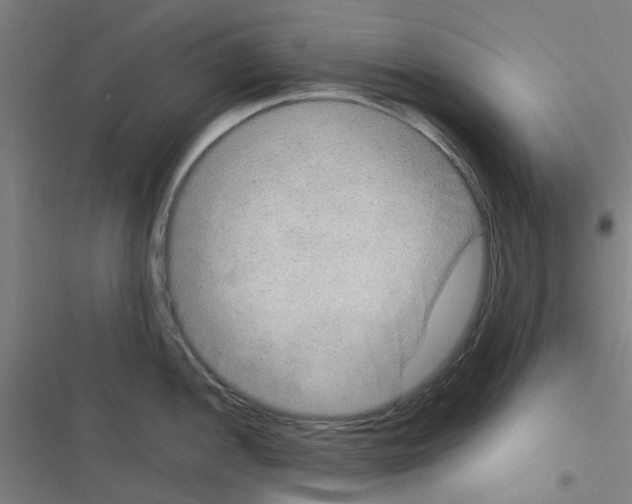 X0000116351052201001131102