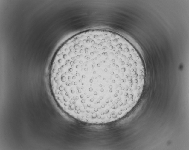 X0000116351053201001131102