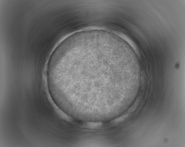 X0000116351055201001131102