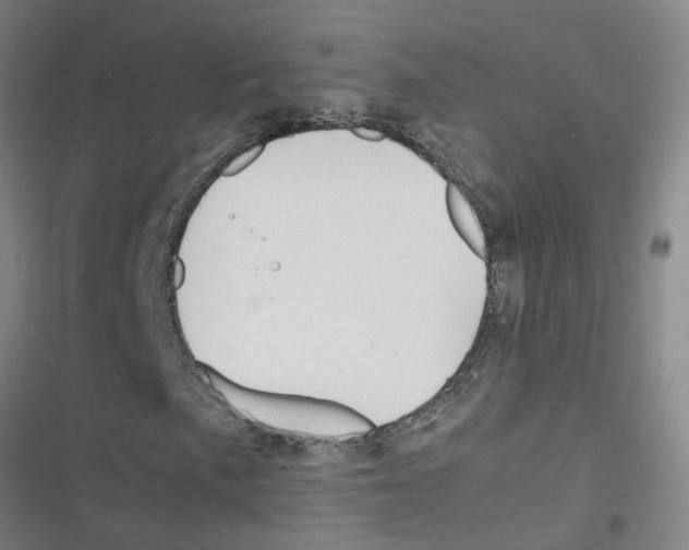 X0000116351057201001131101