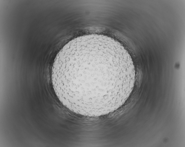X0000116351058201001131101