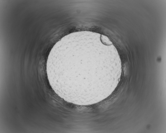 X0000116351059201001131101