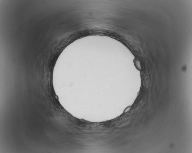 X0000116351061201001131101