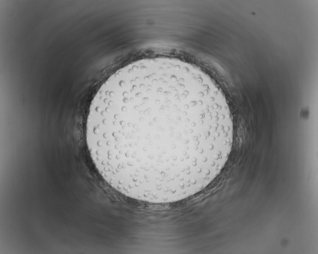 X0000116351062201001131101