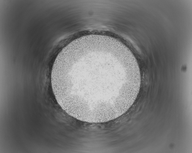 X0000116351063201001131101