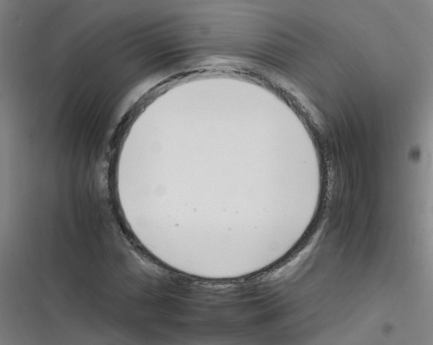 X0000116351066201001131101