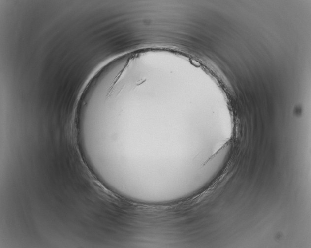 X0000116351068201001131101